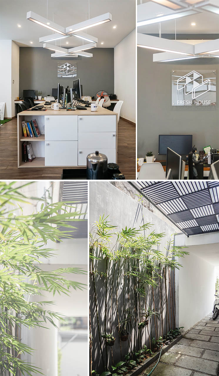 Bức ảnh chụp tại văn phòng Fresh House