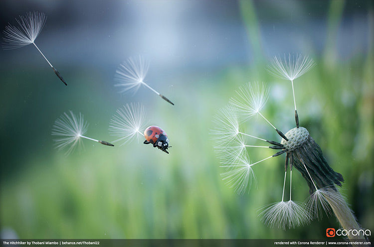 Corona Render là một công cụ tạo quy trình làm việc mạnh mẽ