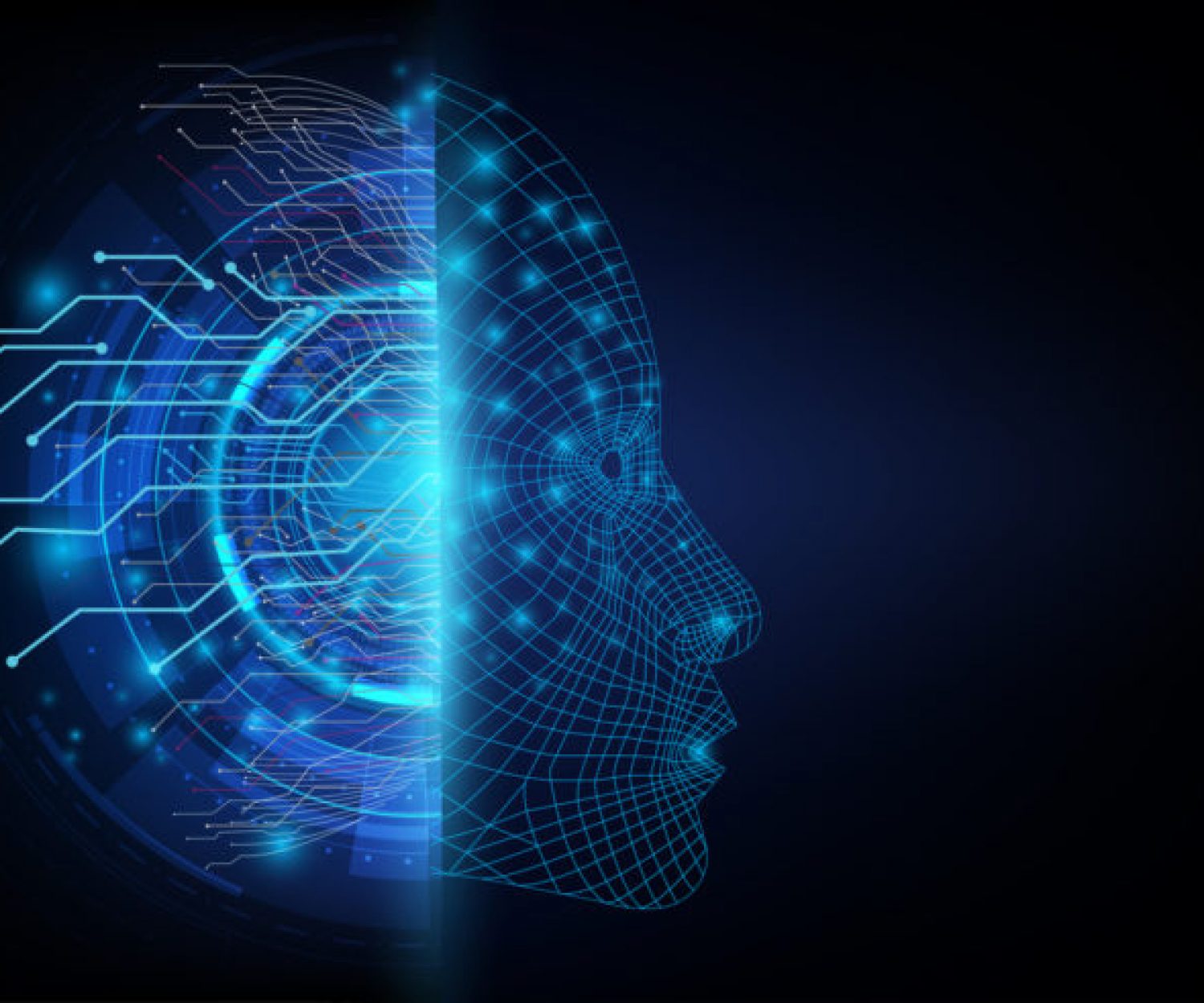 Information and Technology background