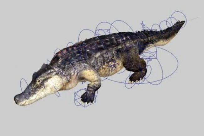 Một giàn cá sấu hoạt hình (Nguồn: Open3D Model)