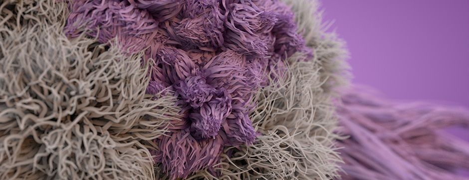 Tổng quan về Arnold trong Cinema 4D 2