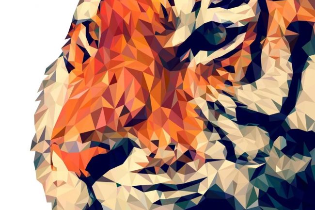 Một mô hình hổ đa giác. Nguồn Manuchi / Pixabay