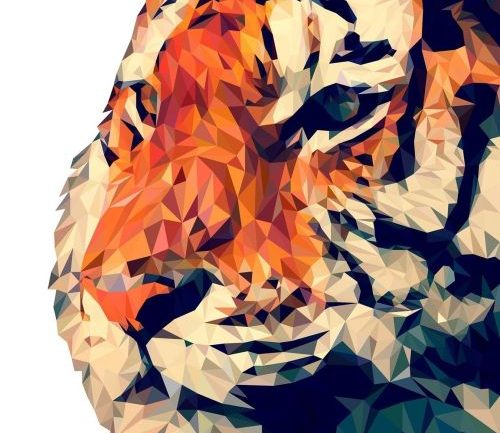 Một con hổ thấp. Nguồn: Manuchi / Pixabay