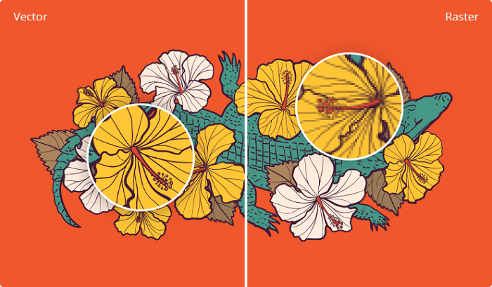 So sánh đồ họa Vector và đồ họa Raster