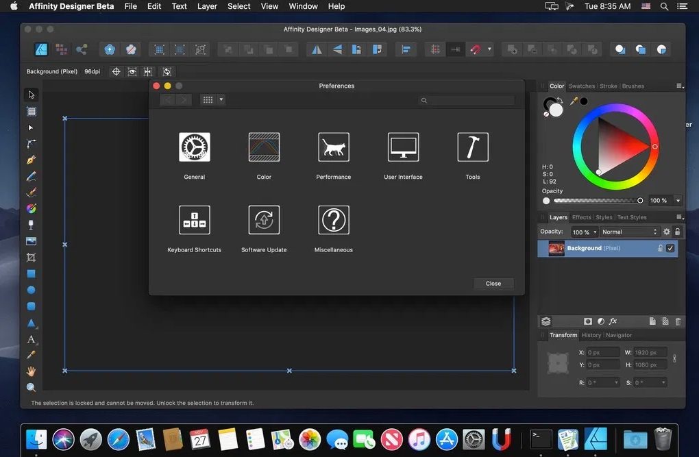 Affinity Designer và Adobe Illustrator 4