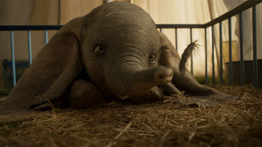 Tìm hiểu bộ phim Dumbo cùng Sebastien Terme