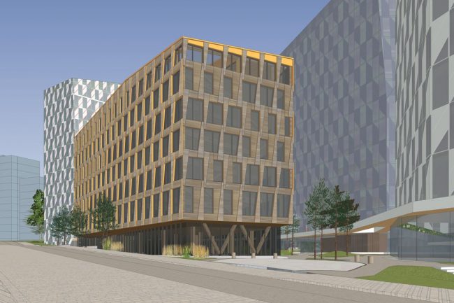 SketchUp model of the Valle Wood project.