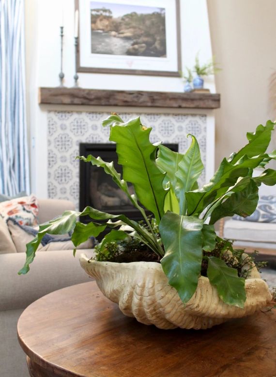 Một chút bản xem trước về dự án nhà theo phong cách Địa Trung Hải của cô ấy.