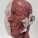 Bản cập nhật mới Autodesk 3ds Max 2020.3 tăng cường hiệu suất