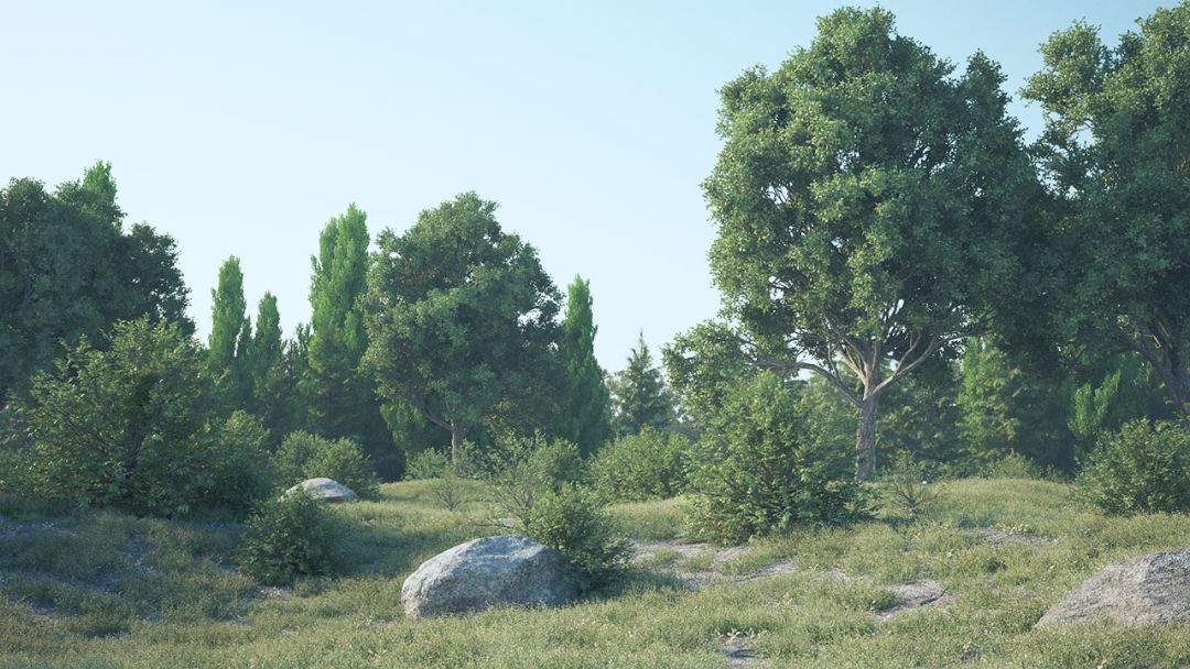 Forester: plugin tạo môi trường tự nhiên cho Cinema 4D 6