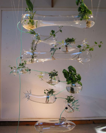 Tạo môi trường cho Cinema 4D (Phần 2): Xfrog 1