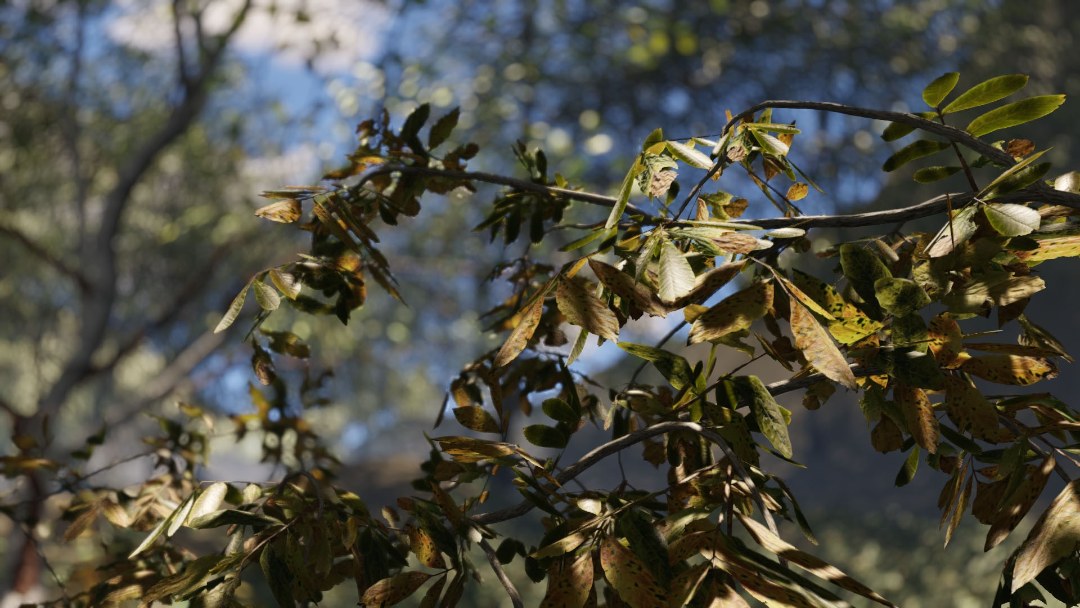 Tạo môi trường cho Cinema 4D (Phần 1): SpeedTree 1