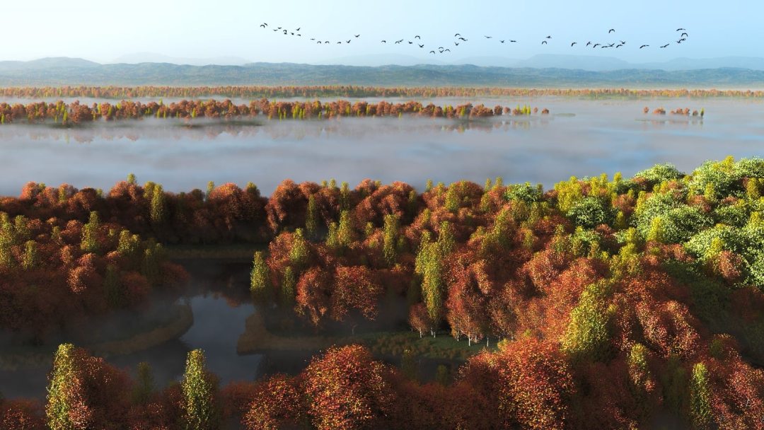 Tạo môi trường cho Cinema 4D (Phần 2): Xfrog 2