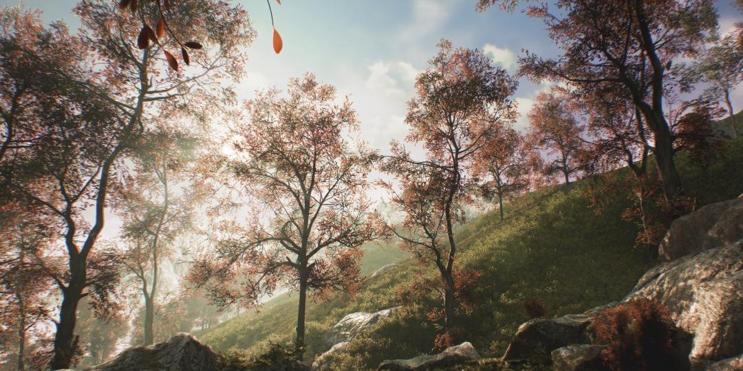 Tạo môi trường cho Cinema 4D (Phần 1): SpeedTree 2