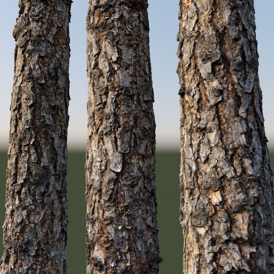 Kết Cấu Trong Blender