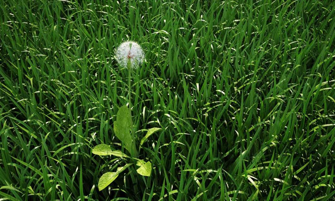 2 công cụ kết xuất tốt nhất cho Cinema4D 6