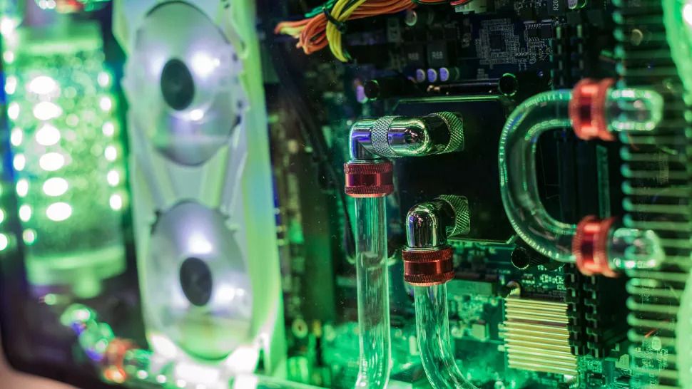 Nguồn: socrates471 / Shutterstock