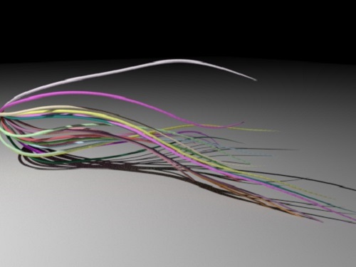 cycles4d.net