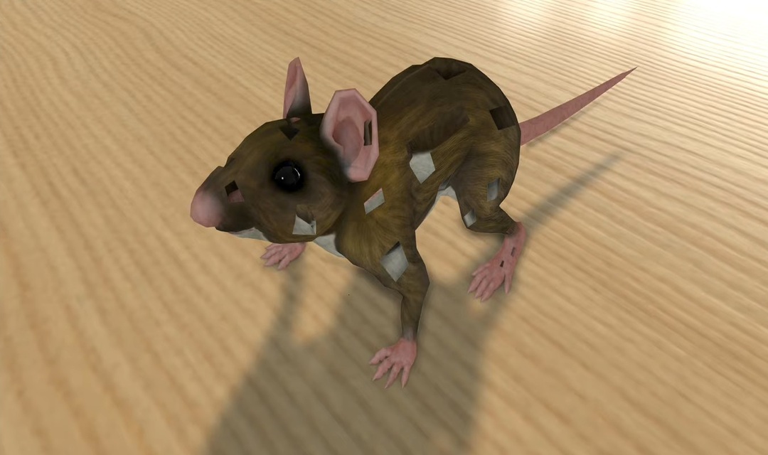 Đóng tất cả các lỗ polygon trong một lần trong Cinema 4D iRender với Cinema 4D 01