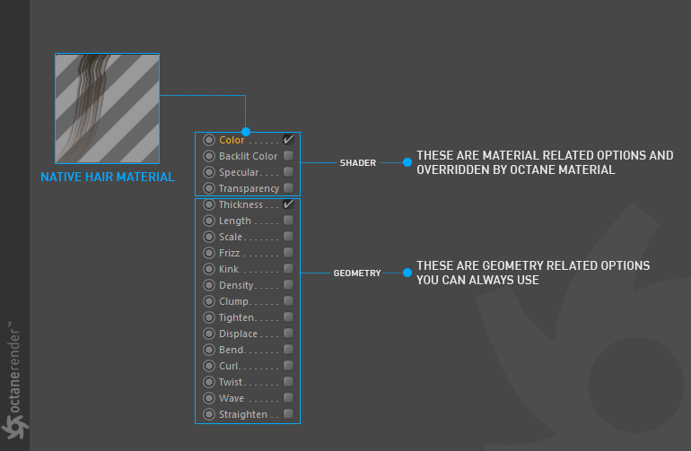 Kết xuất tóc trong Octane với Cinema 4D iRender với Octane và Cinema 4D 04
