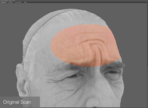 5-buoc-de-to-ra-mot-buc-chan-dung-3d-chan-thuc-6