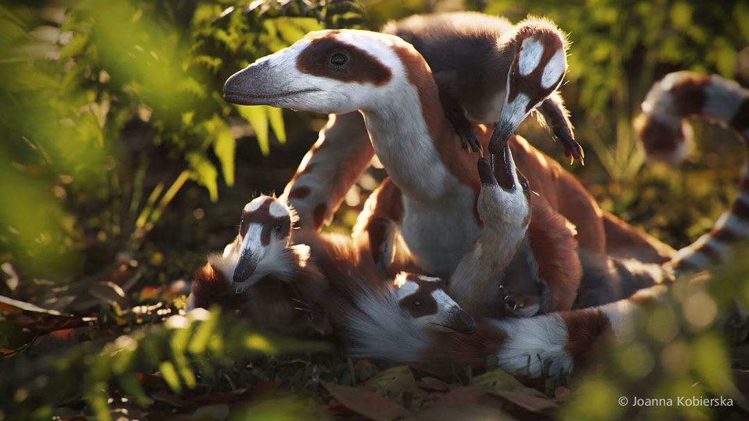 Chúng ta có nên sử dụng trình kết xuất Redshift cho Blender không ảnh 3