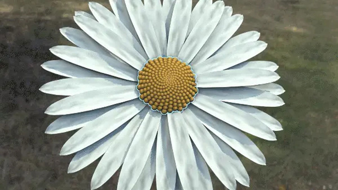 Khám phá các tính năng thú vị của Autodesk 3Ds Max 2024 ảnh 2