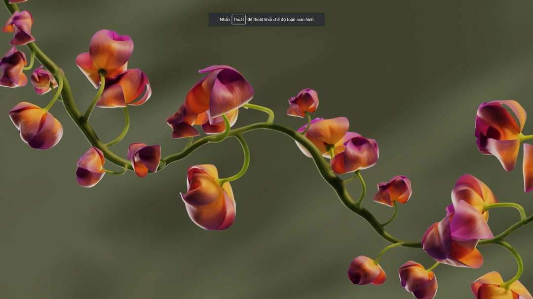 Sử dụng MOPS cho Houdini với iRender ảnh 3