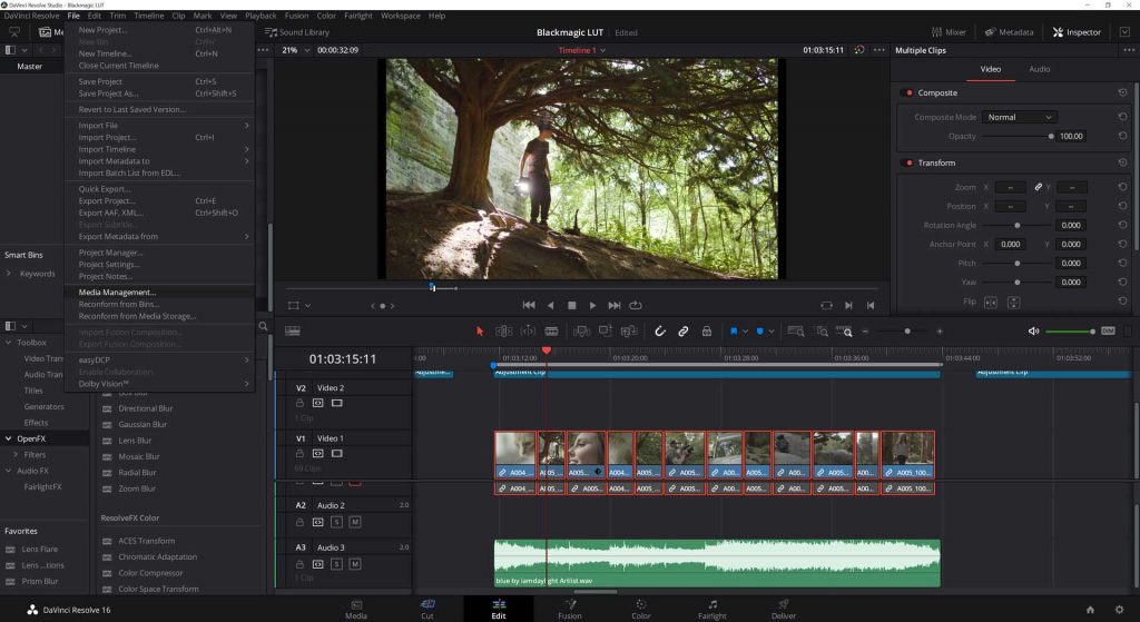 Premiere Pro với DaVinci Resolve: Cái nào tốt hơn? với iRender 04