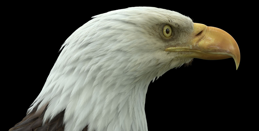 Khám phá những tính năng nổi bật của Houdini 20 cùng iRender ảnh 5