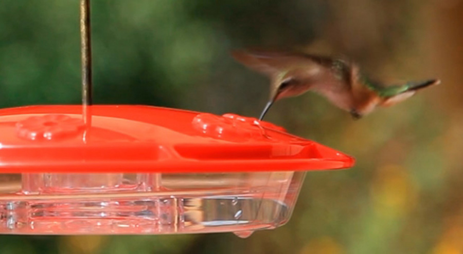 Cách thêm hiệu ứng làm mờ chuyển động trong After Effects ảnh 5