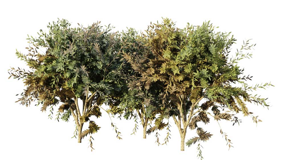 Khám phá addons dành cho thiết kế kiến trúc với Blender ảnh 2