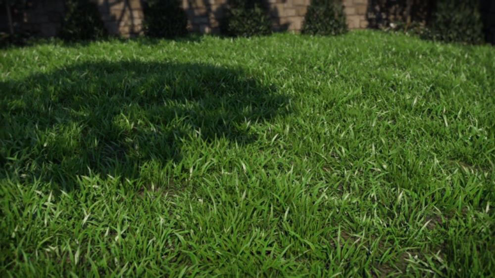 Tạo bề mặt cỏ bằng cách sử dụng XGen Spline Primitives với V-Ray ảnh 3