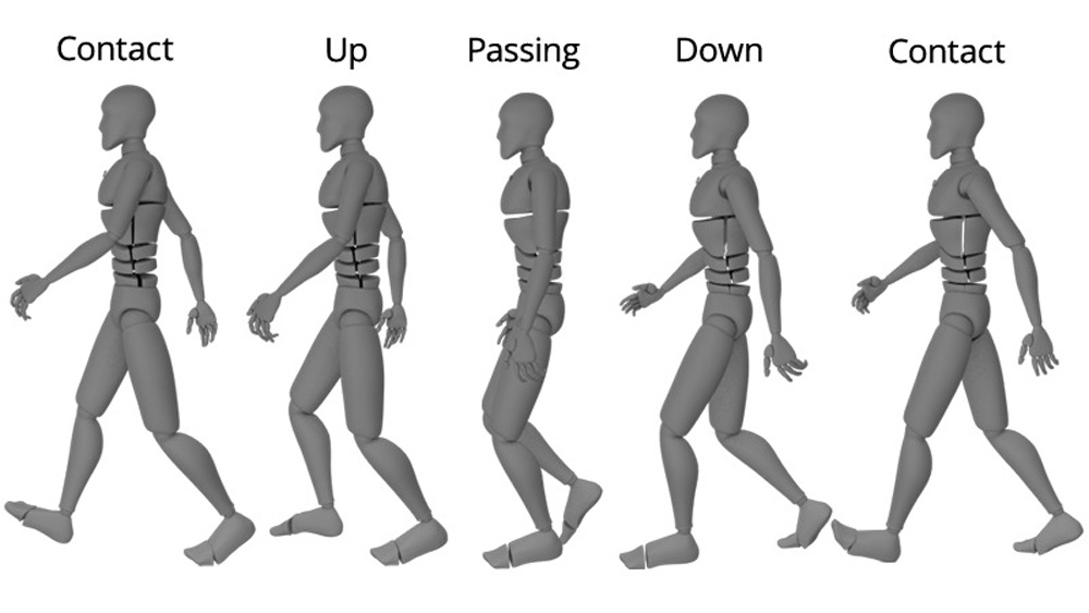 Tạo hoạt ảnh chuyển động bước đi cho nhân vật trong Blender ảnh 9
