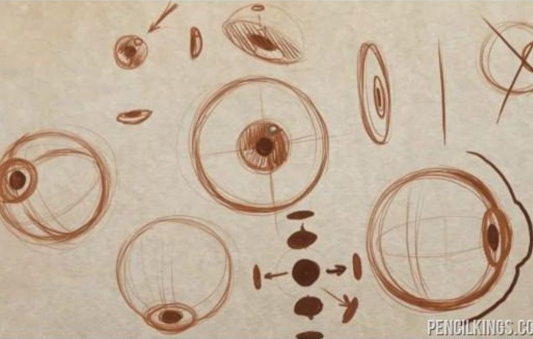 5 bước cơ bản tạo mô hình mắt 3d 2