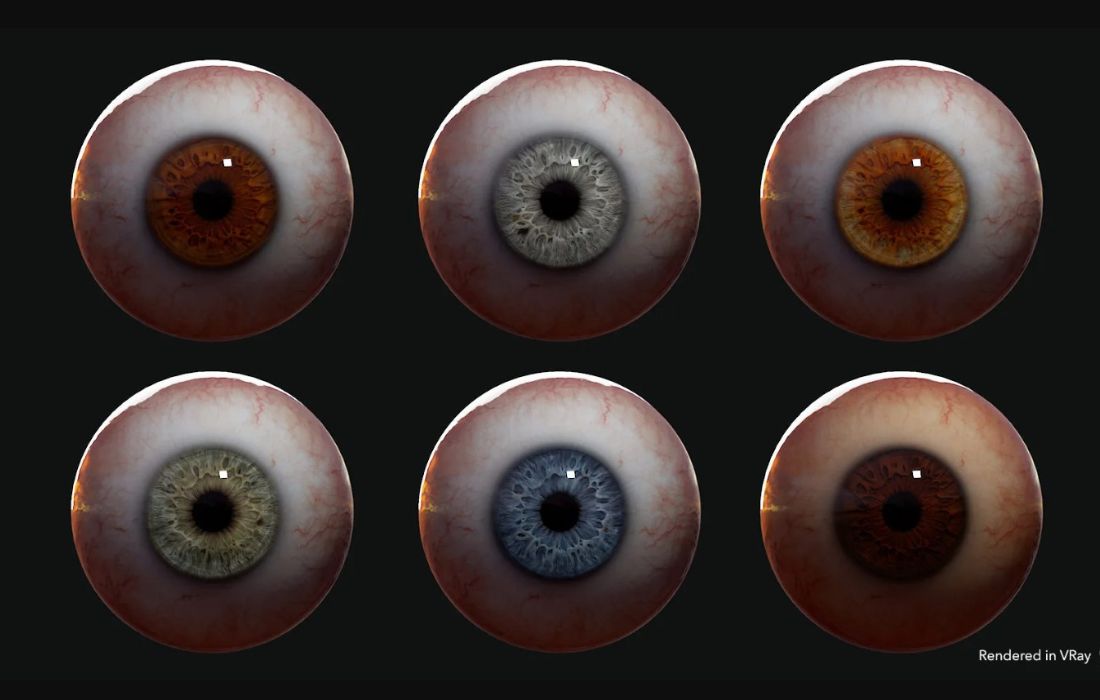 5 bước cơ bản tạo mô hình mắt 3d 6