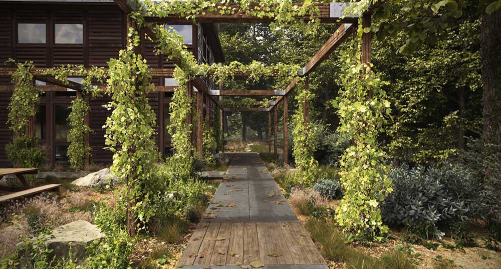 ForestPack 9 ảnh 2