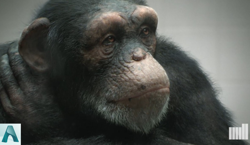 Nên kết xuất Vray hay Arnold cho Cinema 4D 2