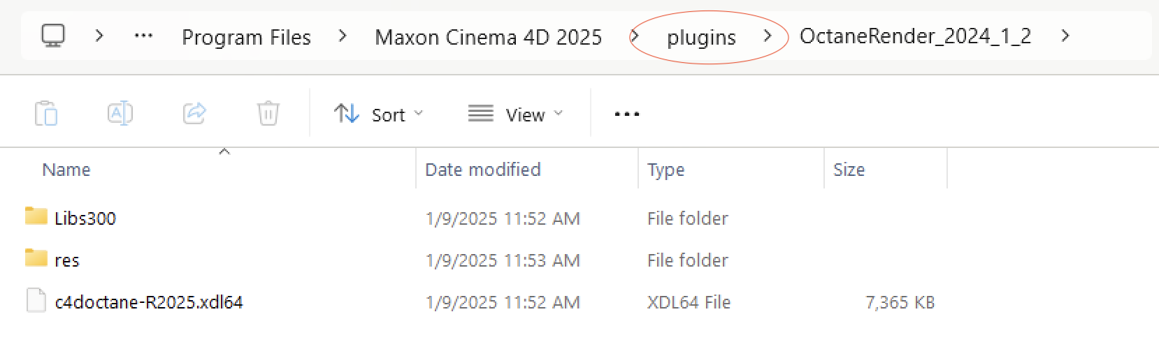 How to install OctaneRender on iRender Cinema 4D Servers 4