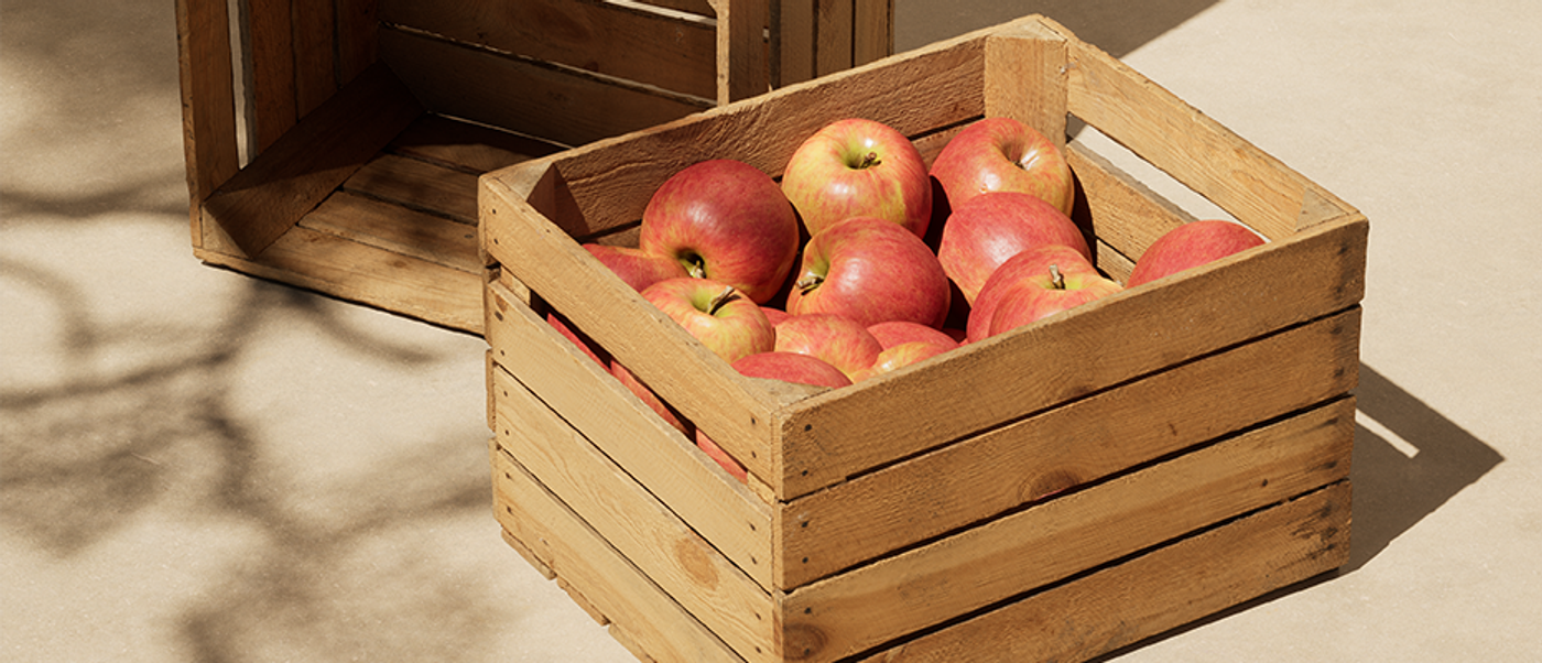 Top 5 phần mềm render nội thất tốt nhất năm 2025